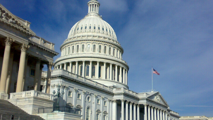 How often are members of the House of Representatives up