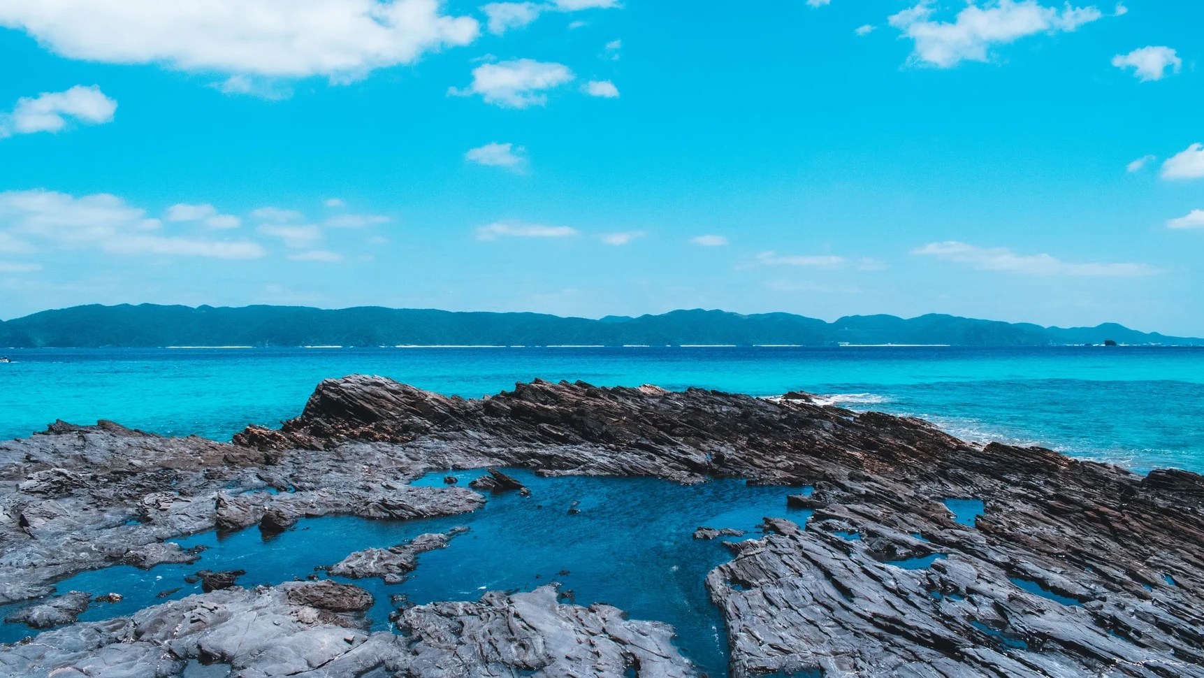 Geography Which of the following is the name of the largest Japanese