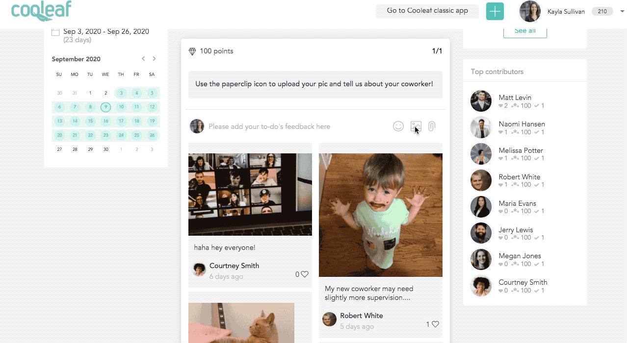 How do I upload an image in my challenge? Cooleaf