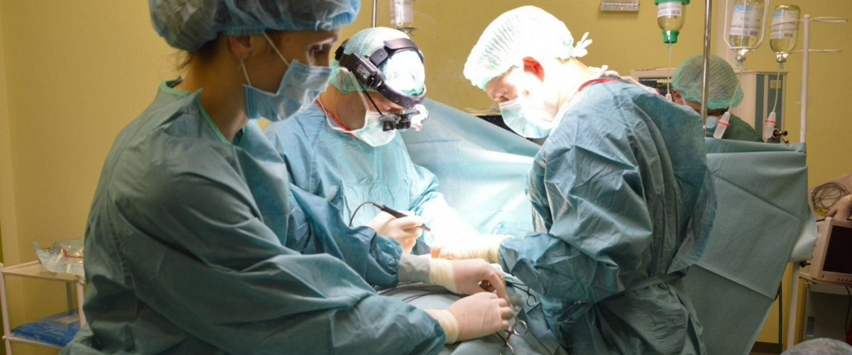 Органы от старых доноров можно успешно омолаживать сенолитиками