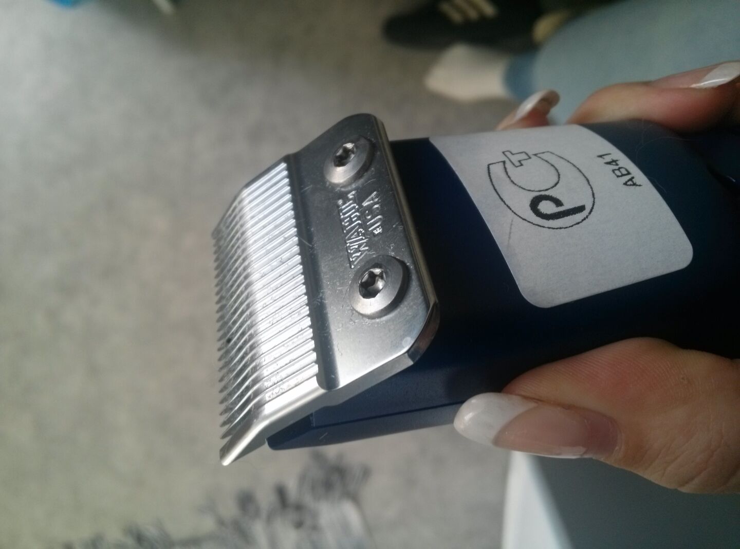 Klippmaskin/trimmer Hundar iFokus