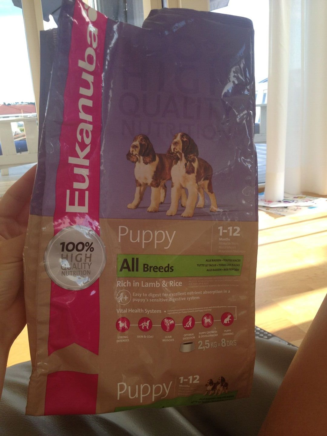 Lös i magen Hundar iFokus