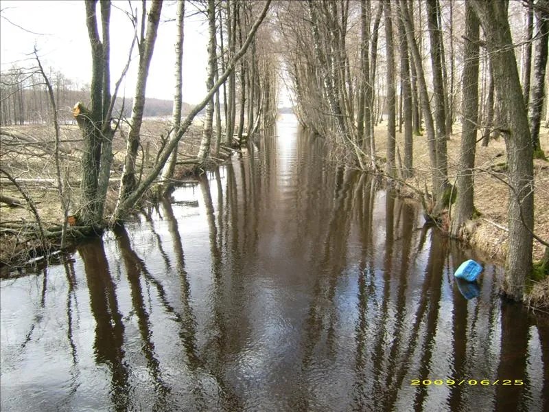 BILDER PÅ FINA PARADIS PLATSER I SVERIGE Svensk natur iFokus