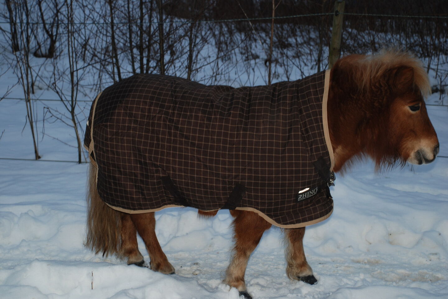 Vad Väger Ett Vanligt Täcke Vad för täcke har ni? Shetlandsponny iFokus