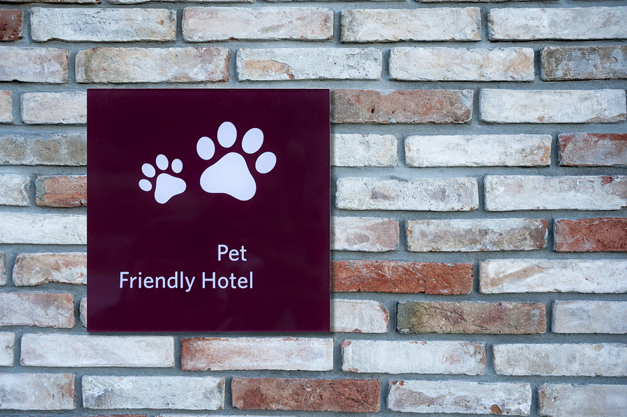 Los comercios que son Pet Friendly Revista InformaBTL