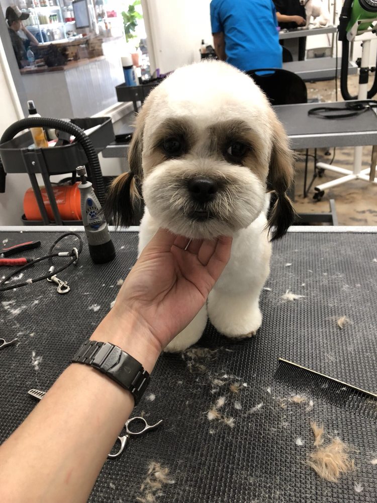 Ironmaya Pet Grooming 👍2,561 people this business. 1314 S