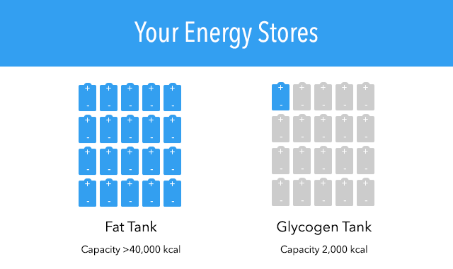 Ketones and Weight Loss: Do Ketone Levels Matter? | KetoDiet Blog