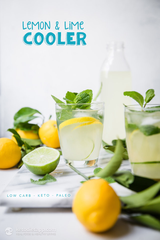 LowCarb Lemon & Lime Cooler KetoDiet Blog