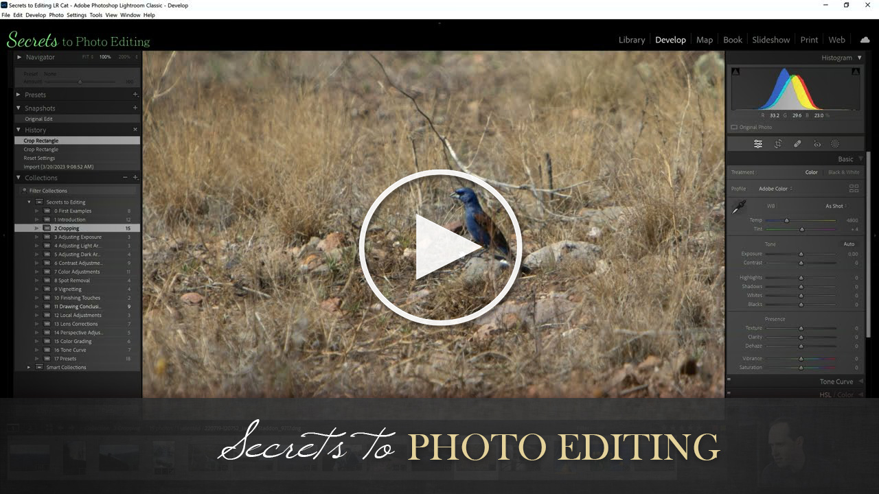 Cropping Lenspiration