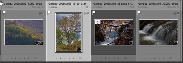 Lightroom Rasteransicht mit Shortcuts anpassen