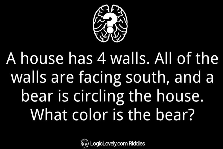 A house has 4 walls. All of the walls are facing south, and a bear is