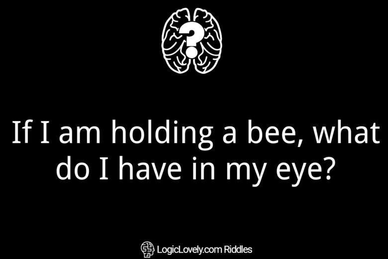 If I am holding a bee, what do I have in my eye? Logic Lovely