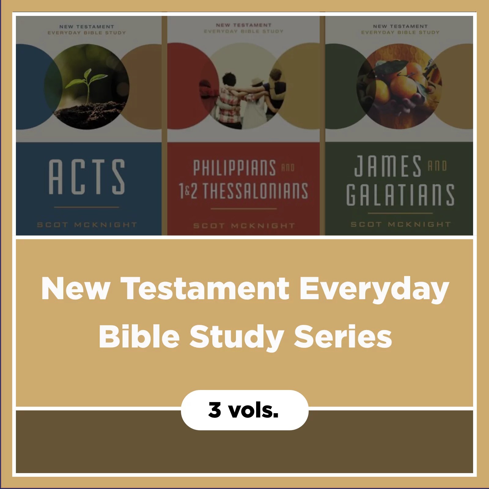New Testament Everyday Bible Study Series (3 vols.) Verbum