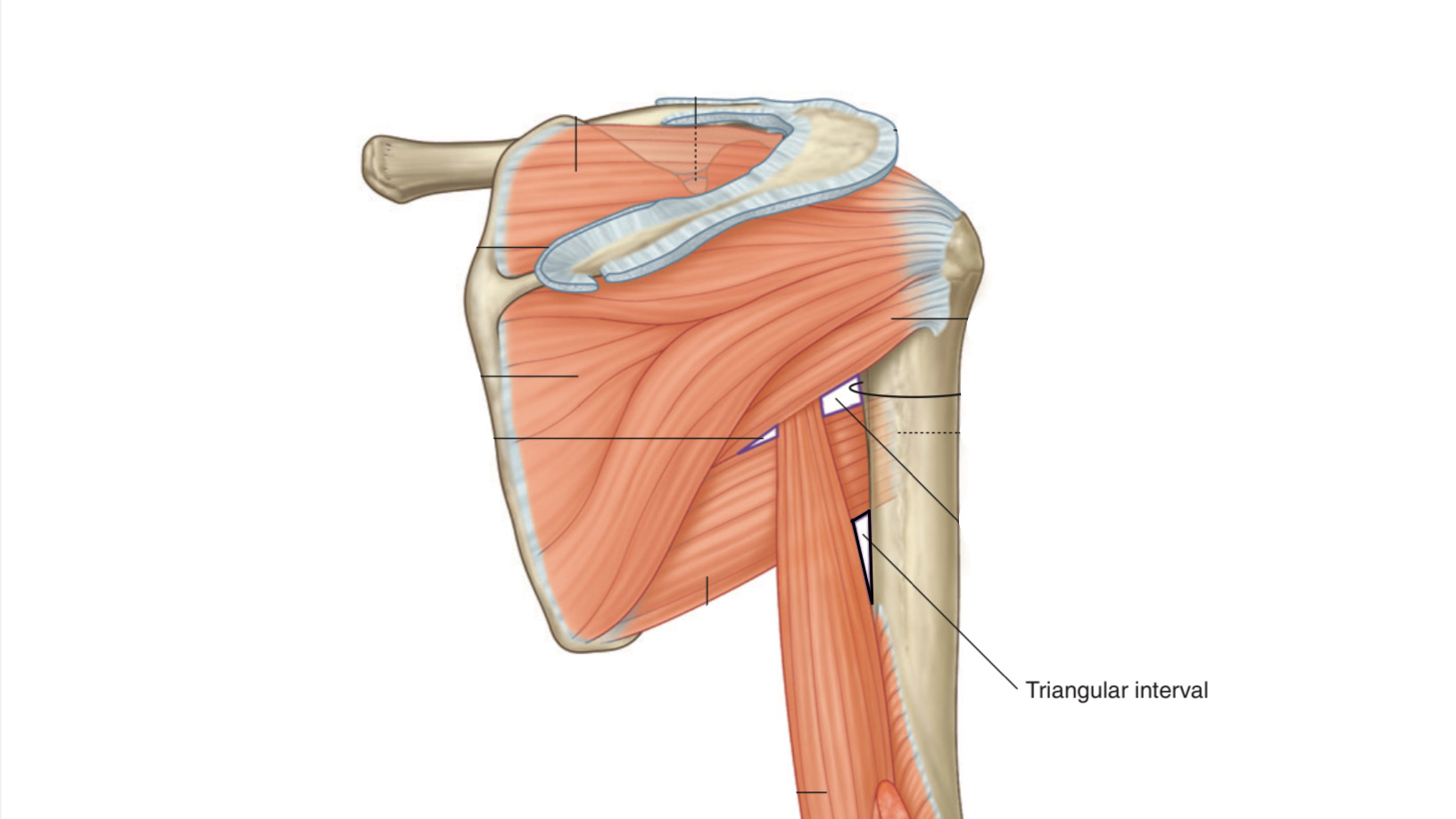 Lower Triangular Space