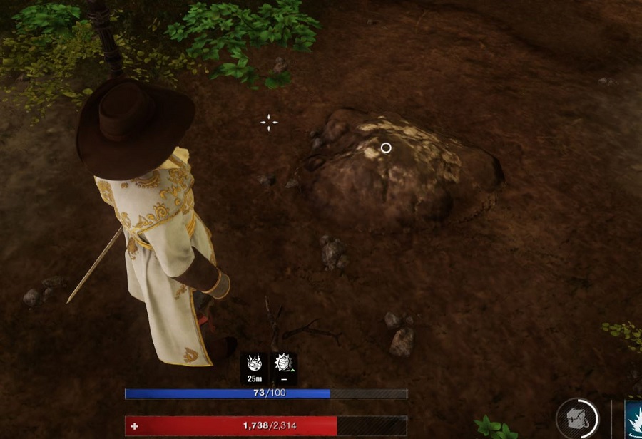 How to Find and Collect Saltpeter in New World MMOPIXEL