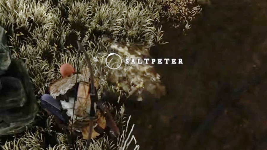 How to Find and Collect Saltpeter in New World MMOPIXEL