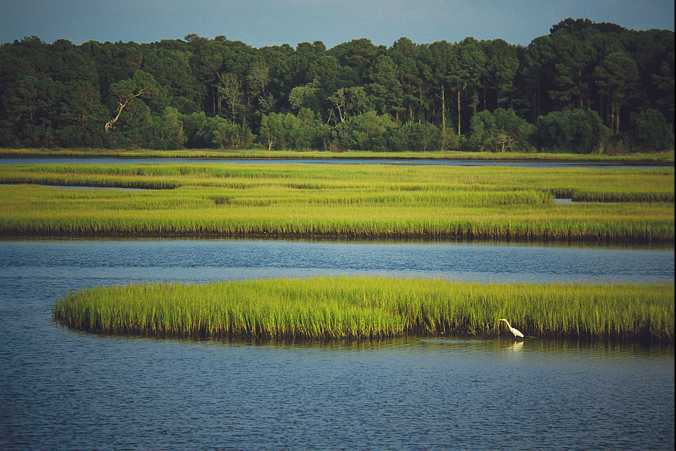 Coastal Management Estuarine Shorelines NC DEQ