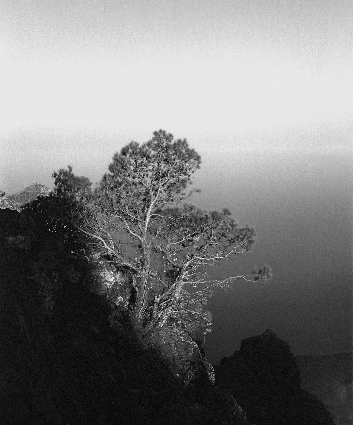 Awoiska Van Der Molen Artist Profile, Exhibitions & Artworks Ocula