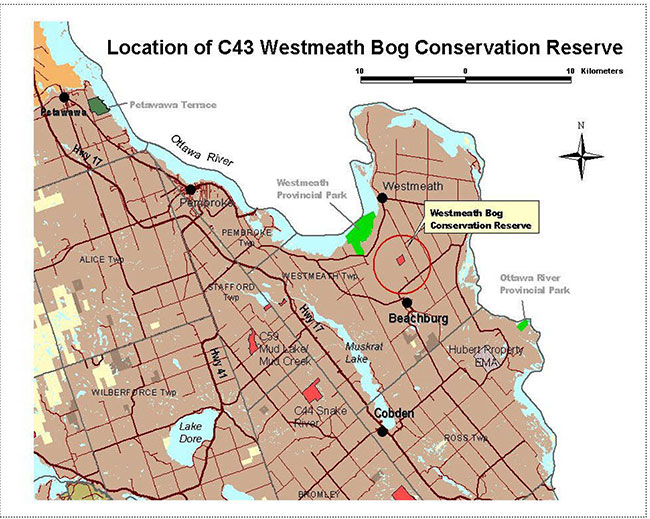 Westmeath Bog Conservation Reserve Management Statement ontario.ca