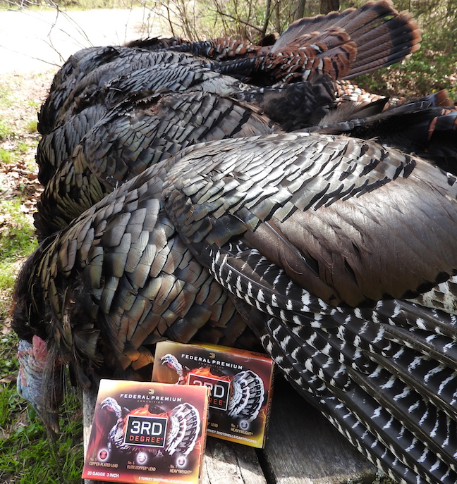 Turkey Shotguns 3 Reasons Why 20Gauge Makes Sense