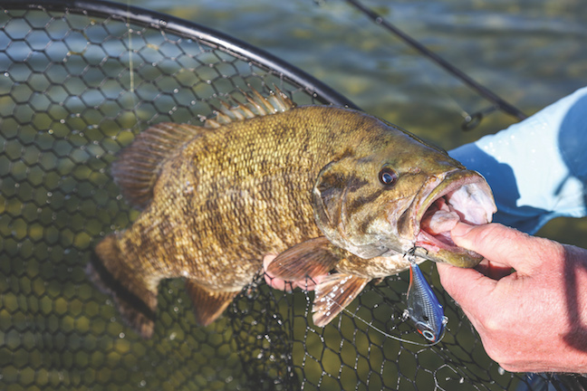June Smallmouth Bass: How To Fish The 3 Stages - Game & Fish