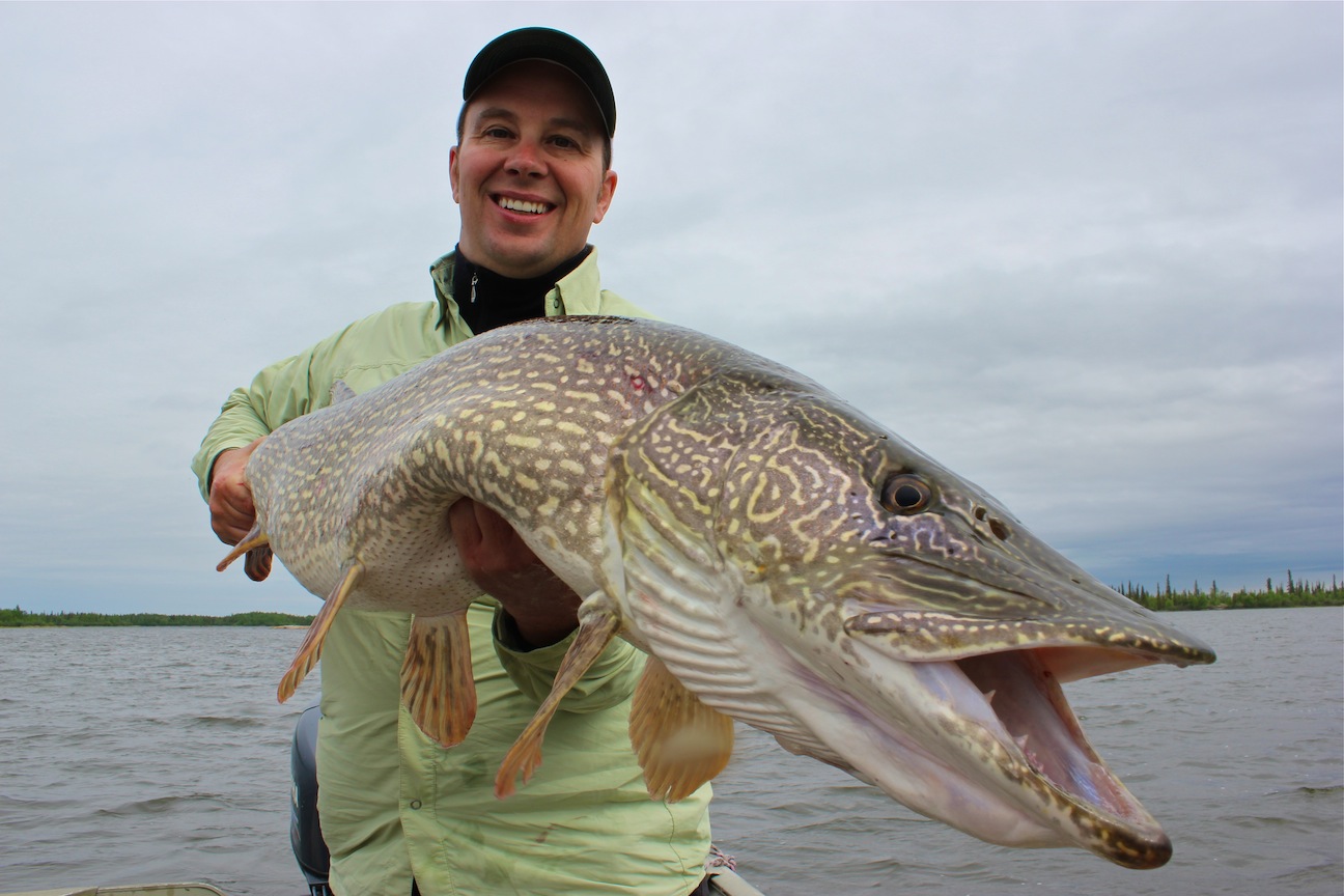 Pike Travel Three Days Of Teeth InFisherman