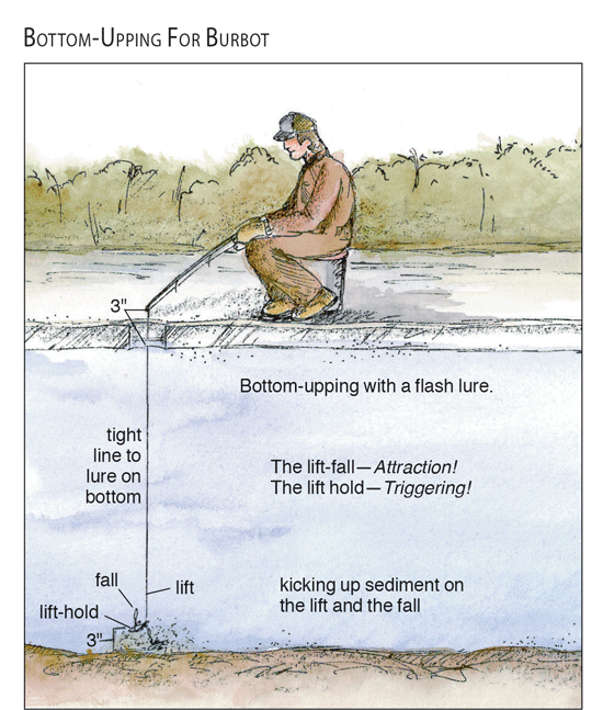 How To Catch Burbot InFisherman