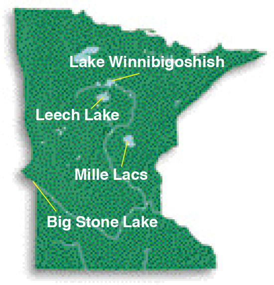 Where To Catch Perch InFisherman