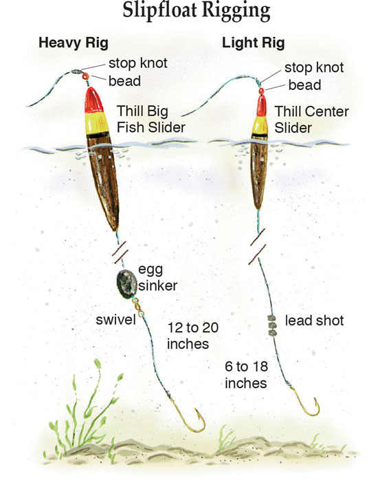 Catfish Week 8 Best Catfish Rigs When, Where and How to U InFisherman
