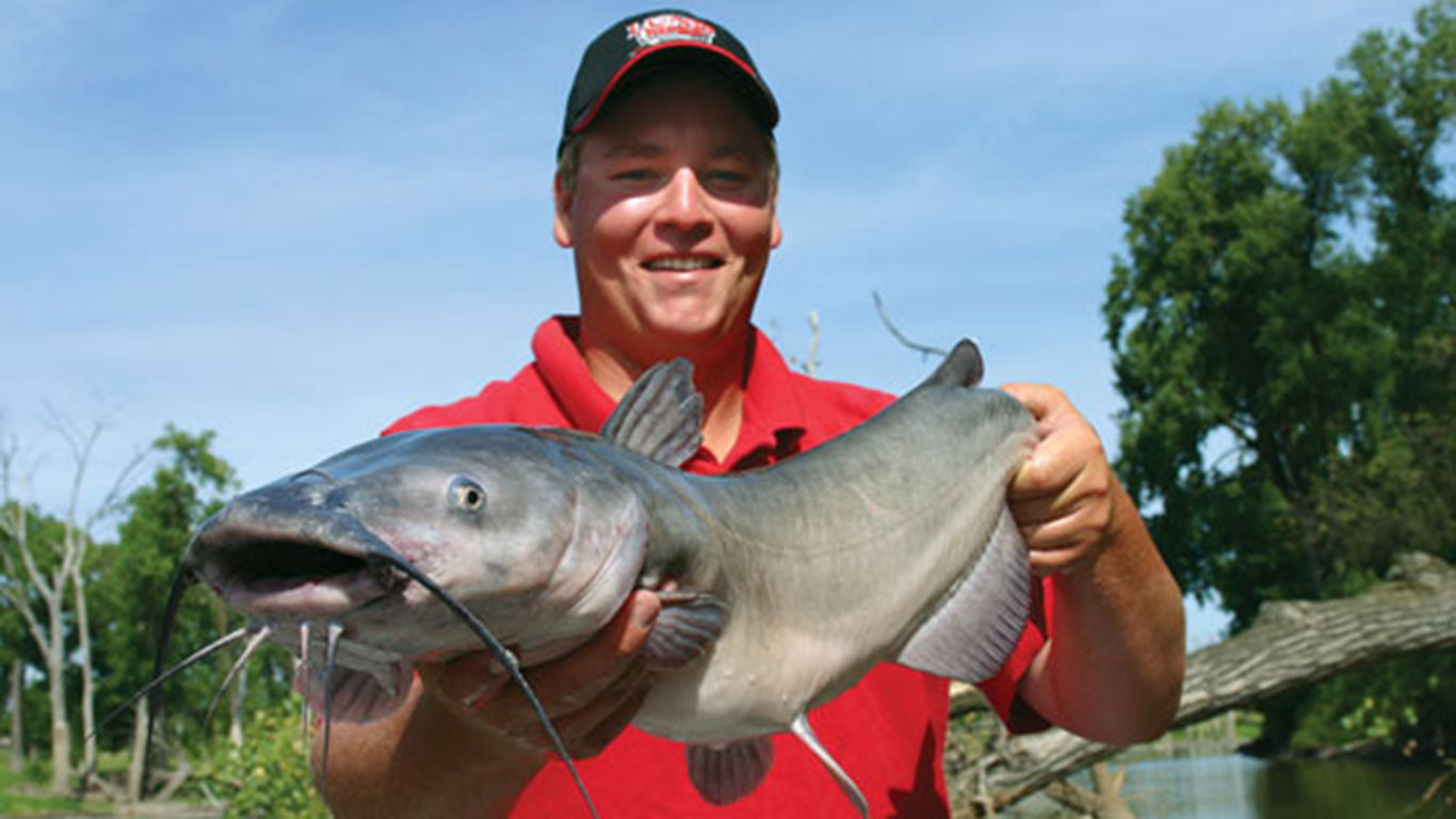 Spring Catfish Spawn Connection InFisherman