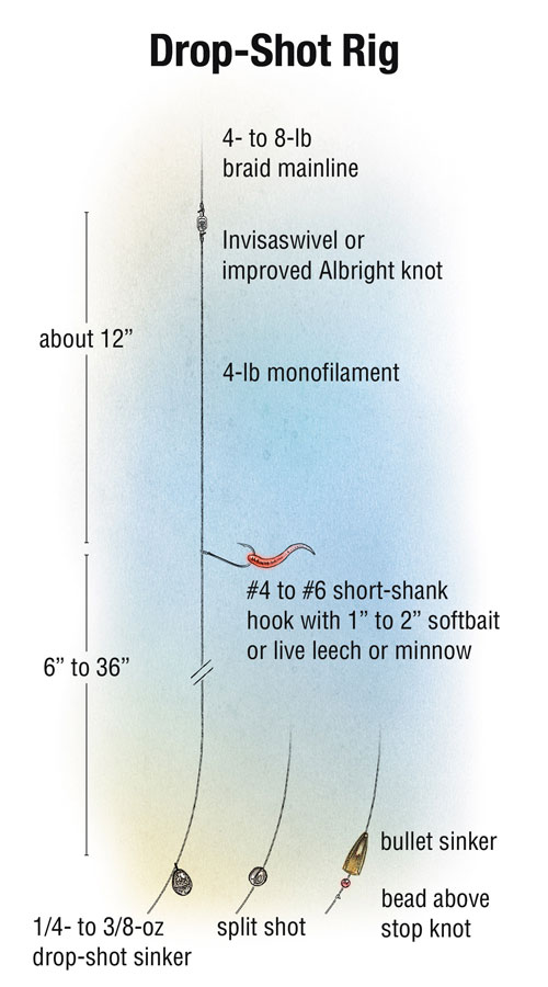 Expert Tips For Giant Panfish InFisherman