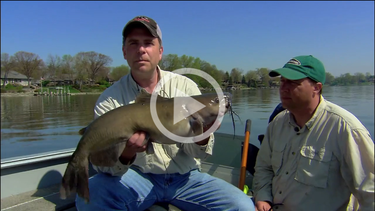 Awesome Spring Catfish Tactic InFisherman