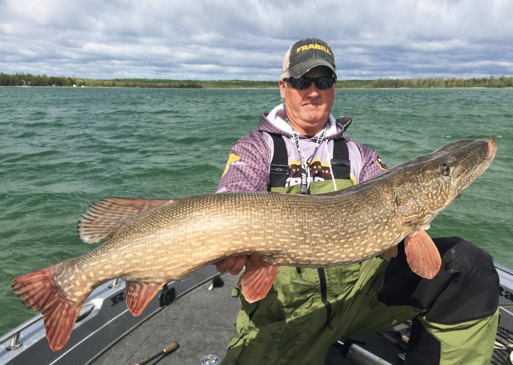Great Lakes Pike Secrets InFisherman