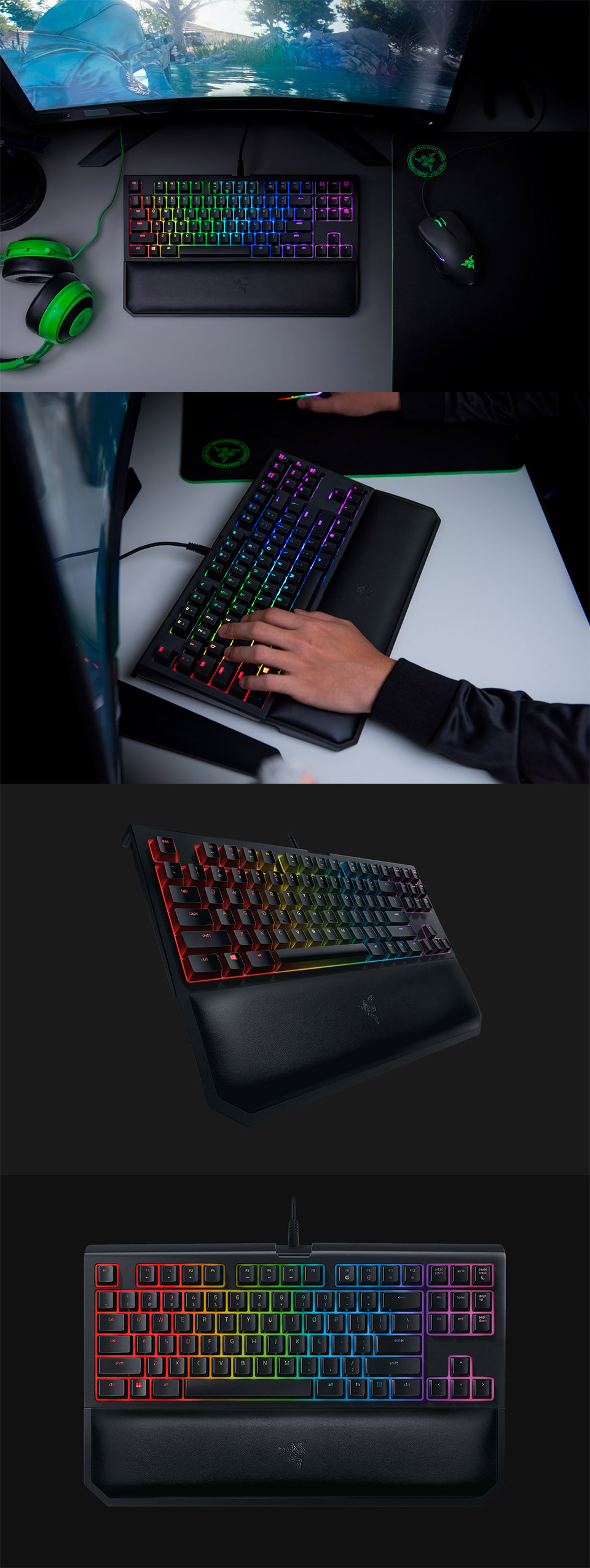 Buy Razer BlackWidow TE Chroma V2 Mech Keyboard Green