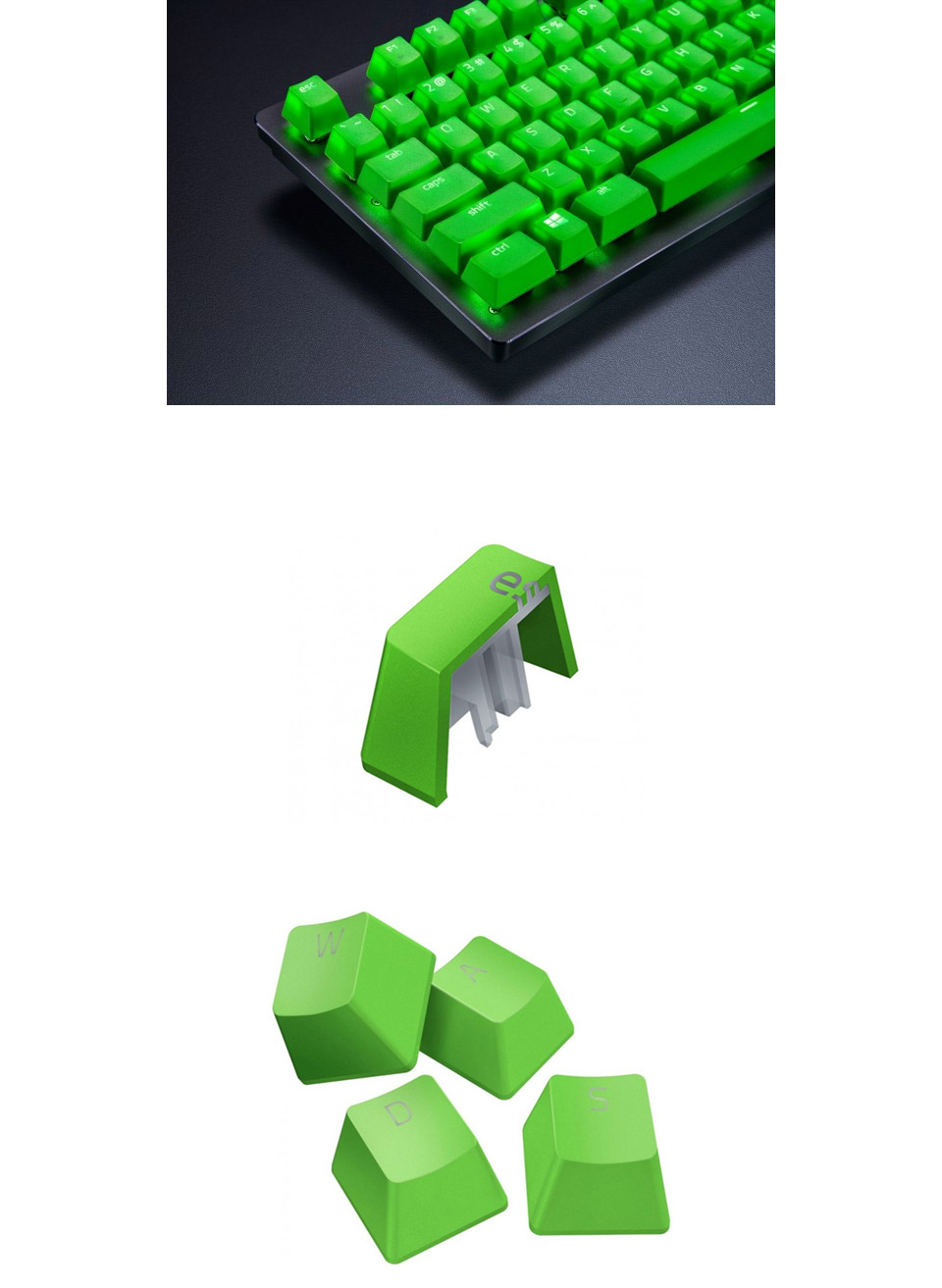 Buy Razer PBT Keycap Upgrade Set Green [RC2101490400] PC Case Gear