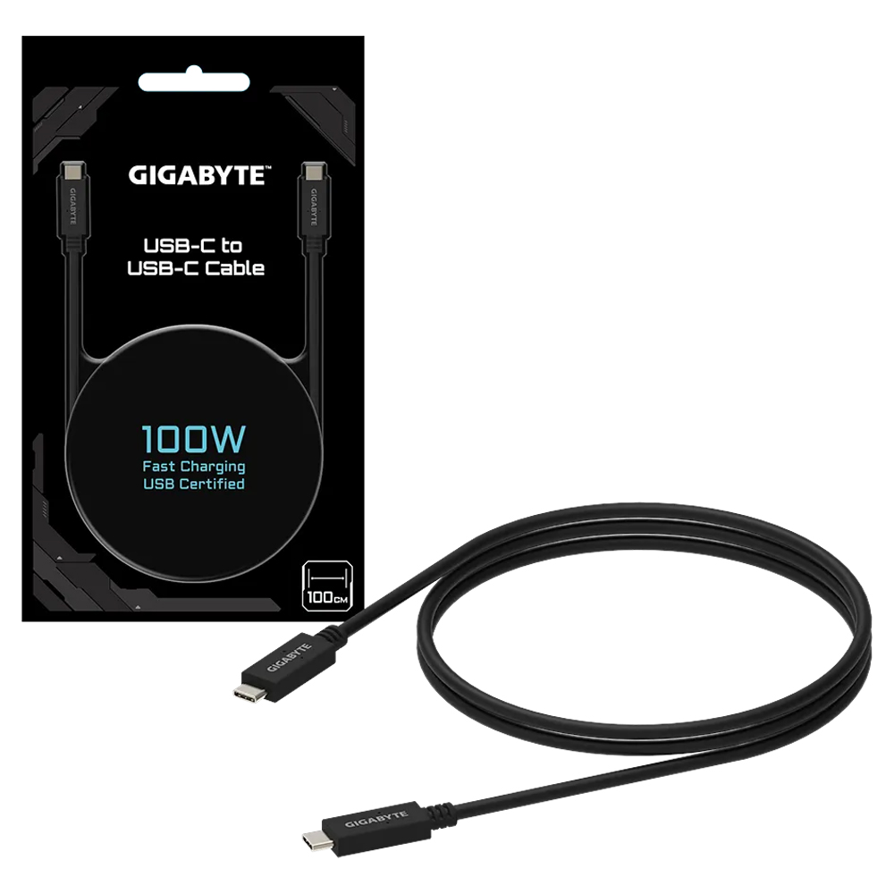 Buy Gigabyte USB 3.2 Gen 2 10Gbps 100W PD USBC Cable [USBTCCABLE