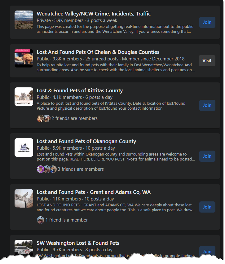 How to Find a Lost Dog What to Do WHEN (First 24 Hours & Beyond) PetHub