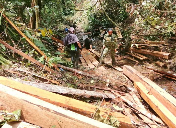 Logs cut in Zambo Sur protected landscape seized Philippine News Agency