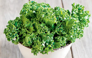 Kale