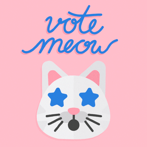 Vote Meow