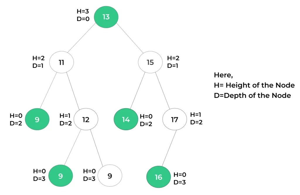 Height and Depth of a Binary Tree PrepInsta
