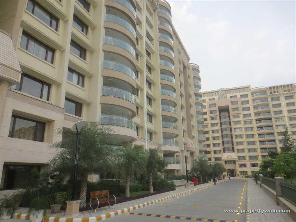 4 Bedroom Apartment / Flat for rent in Ambience Caitriona, DLF City