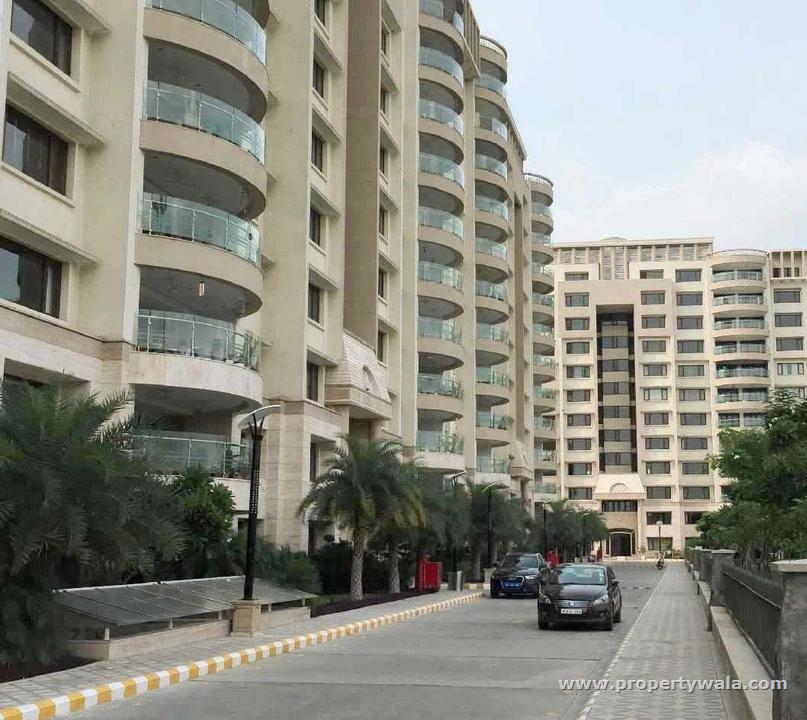 4 Bedroom Apartment / Flat for rent in DLF City Phase III, Gurgaon