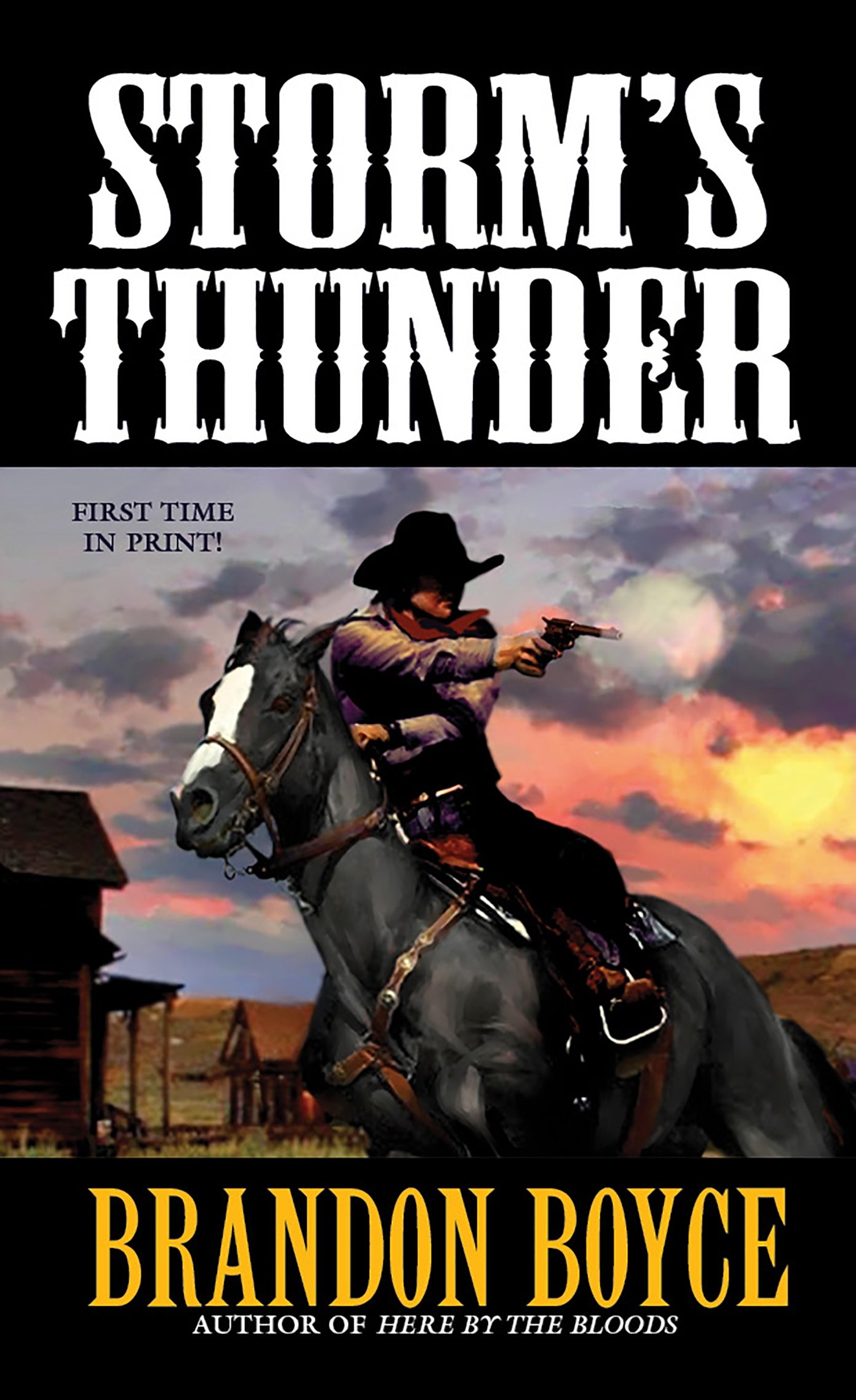 STORM',S THUNDER Read Online Free Book by Brandon Boyce on