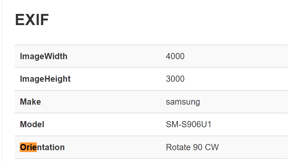 EXIF Orientation Assumptions for Images