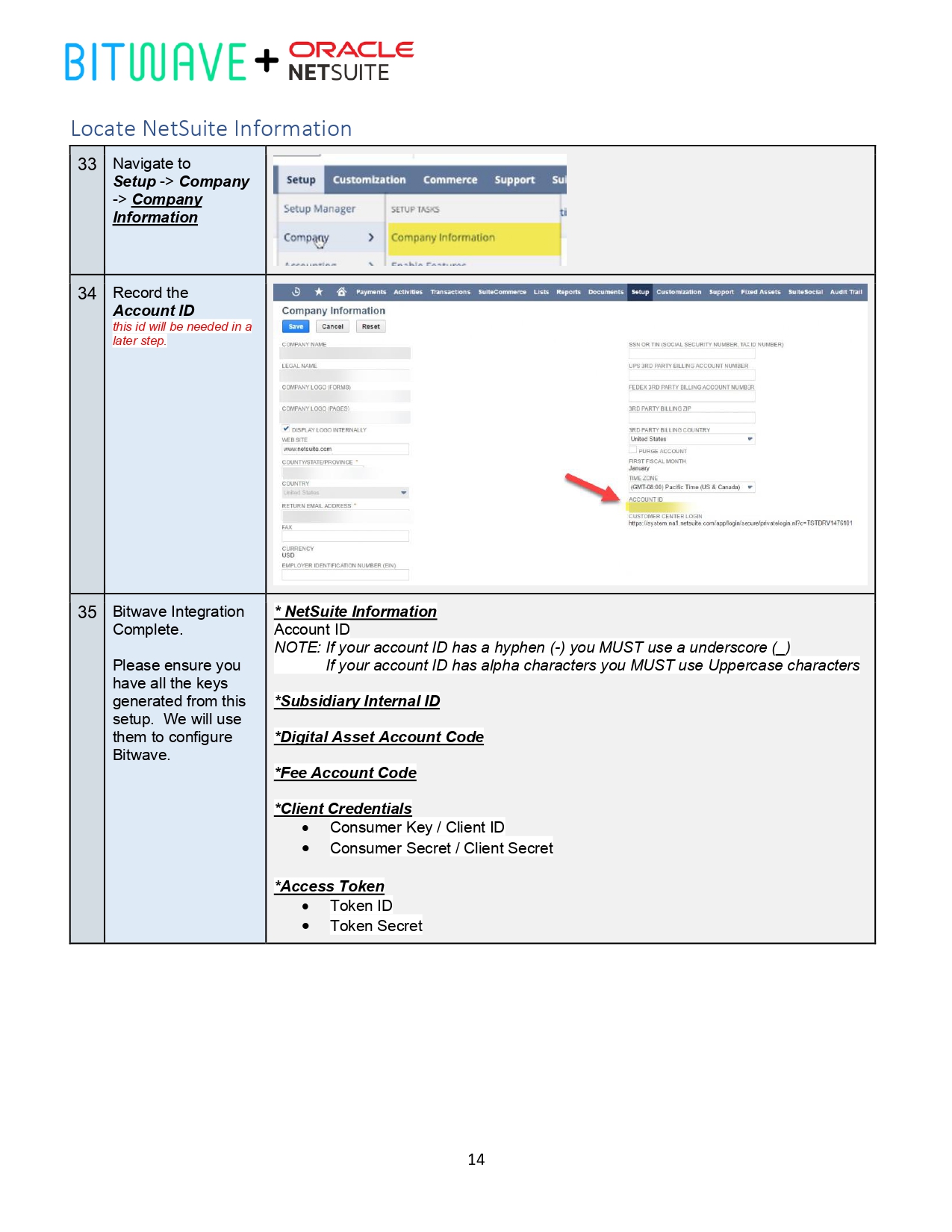 Netsuite Connection Guide