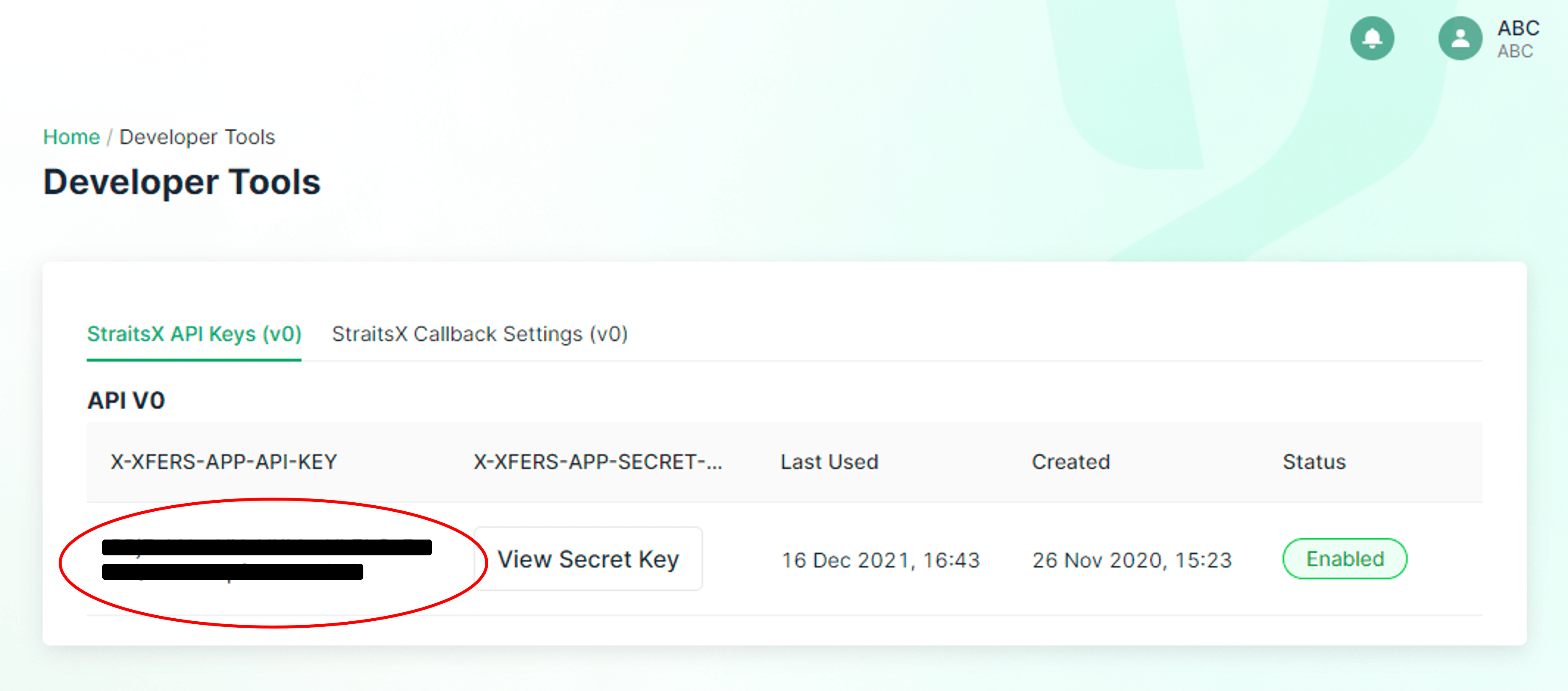 API Keys