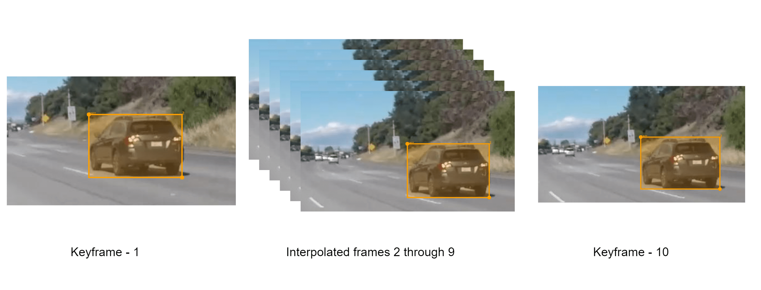 Video Interpolation