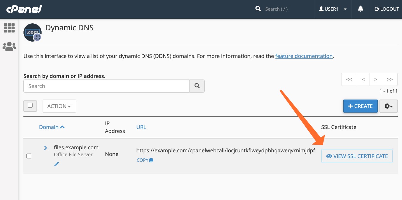 How to Host Dynamic DNS Domains with cPanel?