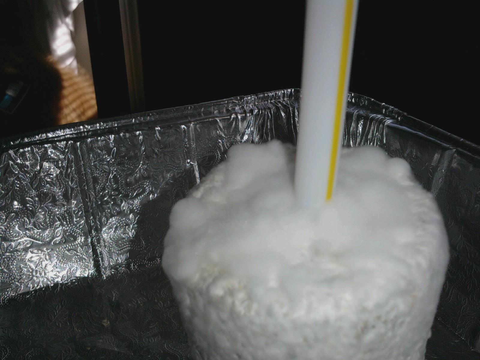 Shroomery cobweb mold????